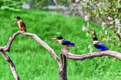 微软4X策略游戏《Project Indus》或将现身6月展会