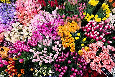 《异形：隔离》首席设计师加入Everwild开发团队